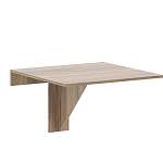 Кухонный стол Шалфей 4 BMS - Фото 4