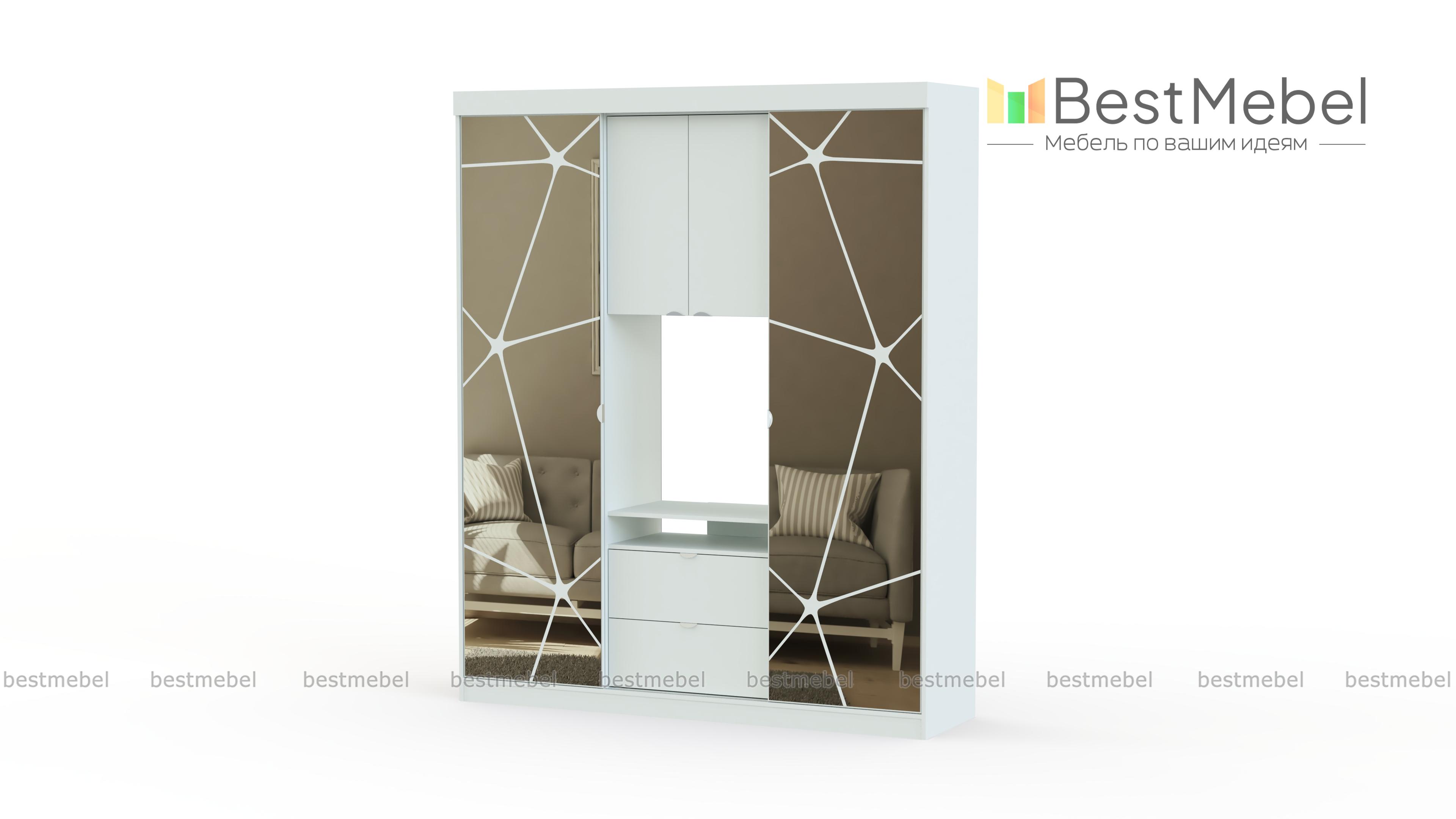 Шкаф-купе Карго BMS - Фото