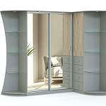 Шкаф-купе Витязь BMS - Фото 6